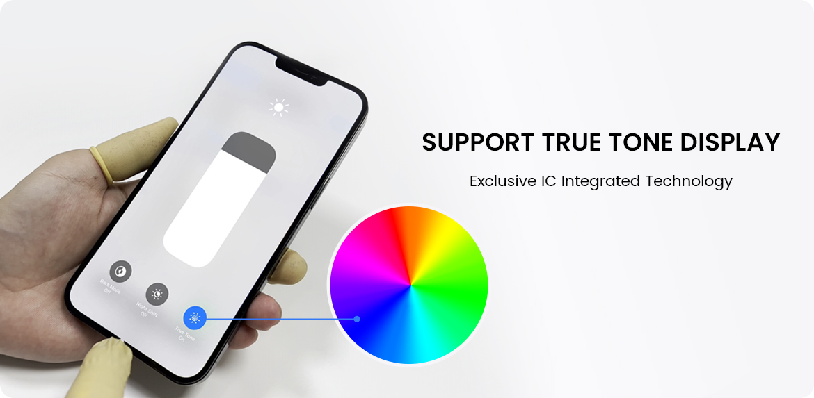 Details 12promax (9)